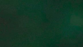 El vicepresidente sigue los pasos de Trump al negarse a cubrirse la cara.