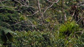 La cascada de San Rafael era la cascada más grande de Ecuador.