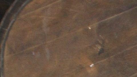 Sherlyn. (Foto: Mezcalent)