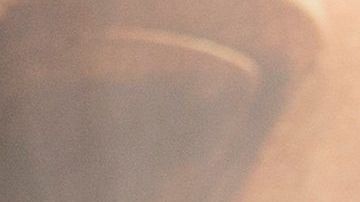 Arnold Schwarzenegger disfruta el confinamiento por el COVID-19 con su mascotas: un perro, un burro y un pony.