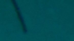 Los arrecifes en el sur de la 'Isla del Encanto' también se han visto afectados por la pandemia.