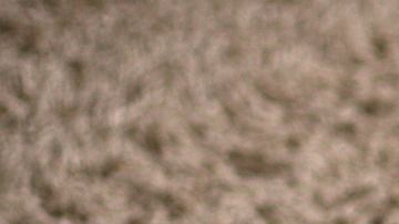 Las aspiradoras automatizadas tienen grandes ventajas en su pequeño tamaño.