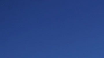 La presidenta de la compañía, Corie Barrie, también anunció que recortaría su sueldo a la mitad.