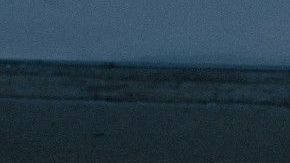 Puedes lograr que tu bote de basura no retenga los malos olores de los desechos.