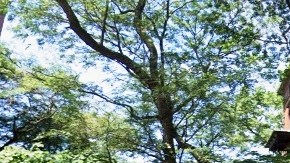 Brooklyn Heights, NYC