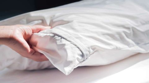 CR-Home-Inlinehero-pillow-protector-0320