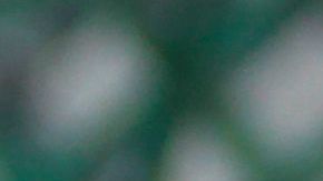 Empleados de un circo piden ayuda en las calles de Tegucigalpa.