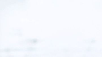 Si lo necesitas, busca en tu comunidad cómo se pueden ayudar con comida o servicios.