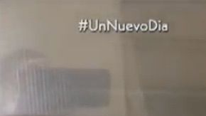 Chef James- Guisado de garbanzos