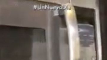 Chef James- Tostadas francesas saladas