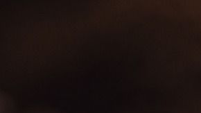 Chocolate-Alexander Stein en Pixabay