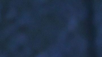 Chris Hemsworth y Elsa Pataky aman todo tipo de animales.