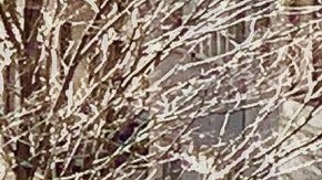 A lo largo de agosto, se organizarán más de 120 eventos en las calles junto con operaciones diarias de calles abiertas en los cinco condados.