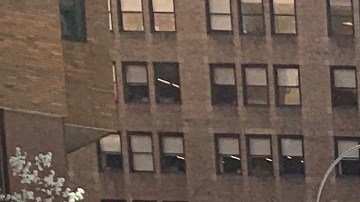 La propuesta busca dar más espacios al aire libre pero a la vez mantener el distanciamiento social.