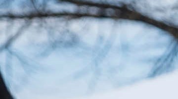 Ahora más que nunca, los neoyorquinos más pobres dependen de las despensas de alimentos y los comedores públicos.