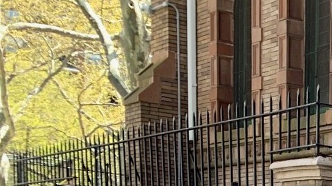 Una mujer llena su carrito con comida en una despensa de alimentos en Chelsea, donde esta semana se registraron largas filas de personas necesitadas.