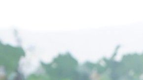 Puedes generar tu propia comida cosechando vegetales Jardín Botánico de Nueva York.