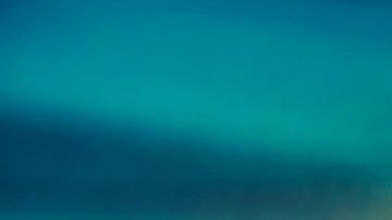 Hubo cruceros en el mundo que propagaron el virus, ahora en Singapur pueden alojar a recuperados.