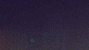 Musk difundió la noticia a través de su cuenta de Twitter.