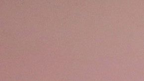 Demi Lovato curó las heridas por la muerte de su perro, sumando uno nuevo a su familia.