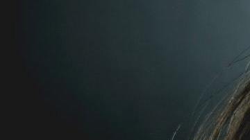 El estres producido por ruido, perjudica tu sistema inmune, haciendote más vulnerable al contagio por Covid-19.