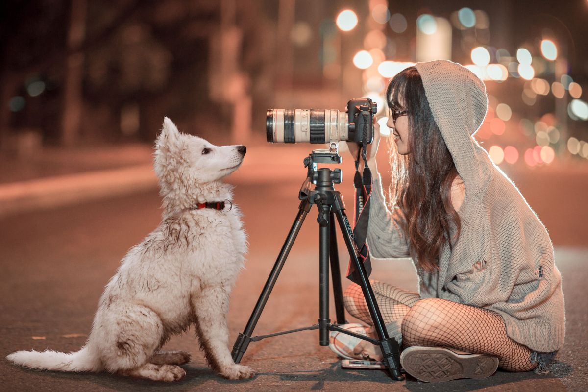 Nuestras mascotas lucirán más en las fotos si usamos la luz adecuada. 