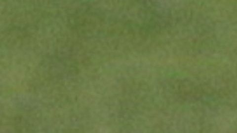 Chicharito anotó su primer gol en un Mundial.