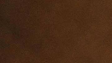 Tipo de cambio dólar peso México coronavirus COVID-19