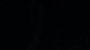 Alex Cora quedó suspendido por el resto de 2020 por el robo de señales en Houston.