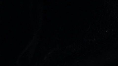 Alex Cora quedó suspendido por el resto de 2020 por el robo de señales en Houston.