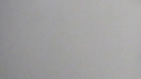 Alex Rodríguez y Jennifer López quieren invertir en las Ligas Mayores.