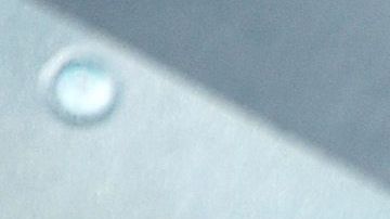 LOS ANGELES, CALIFORNIA - JANUARY 19: Reese Witherspoon attends the 26th Annual Screen Actors Guild Awards at The Shrine Auditorium on January 19, 2020 in Los Angeles, California. 721430 (Photo by Gregg DeGuire/Getty Images for Turner)