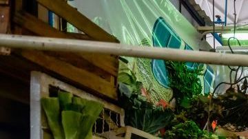 Mucha gente está saliendo de casa por trabajo y son víctimas de la delincuencia.