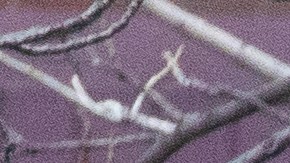 EEUU registra más de 55,000 muertes por coronavirus.