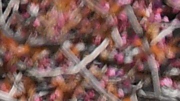 El país sigue registrando más de 2,000 muertes al día por coronavirus.