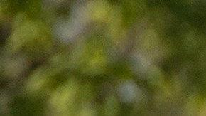 Camiones del Servicio Postal de Estados Unidos.