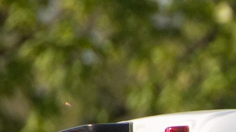 Camiones del Servicio Postal de Estados Unidos.