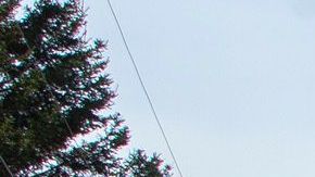 El tirador llevaba un coche parecido al de la Policía Montada de Canadá.