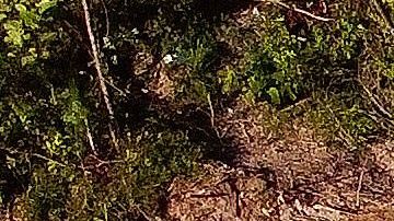 En la ciudad de Manaus están muriendo 100 personas al día.