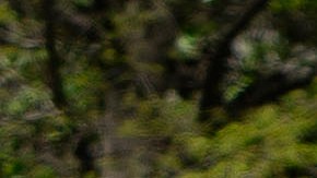 Seguidores de Trump presionan por volver a su vida cotidiana.