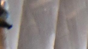 Varias plantas de todo el país han tenido que cerrar debido al coronavirus.