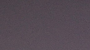 La Dra. Deborah Birx lidera el Equipo Especial de la Casa Blanca contra la pandemia.