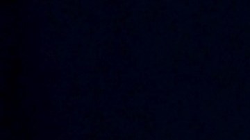 Joe Biden y Michelle Obama.