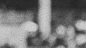 El 15 de abril de 1947 Jackie Robinson se convirtió en el primer pelotero afroamericano en las Mayores.