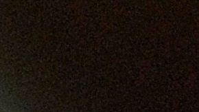 Príncipe Alberto II de Mónaco.