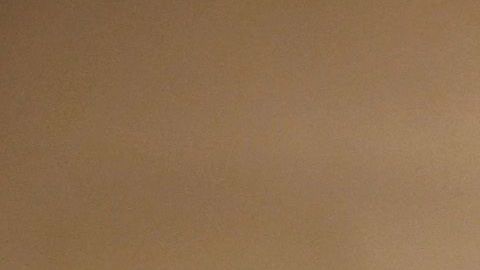 detenidos por inmigración