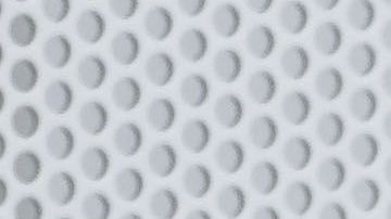 Un perro con un cuidador en Miami.