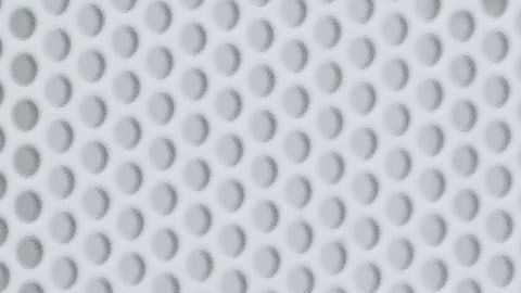 Un perro con un cuidador en Miami.