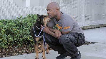 Un perro con un cuidador en Miami.