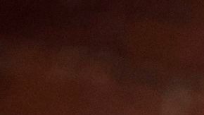 El legendario Kurt Angle fue uno de los cesados.